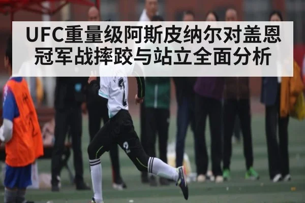 UFC重量级阿斯皮纳尔对盖恩冠军战摔跤与站立全面分析